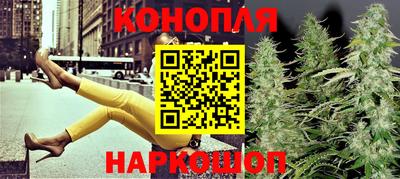 сатива Ирбит