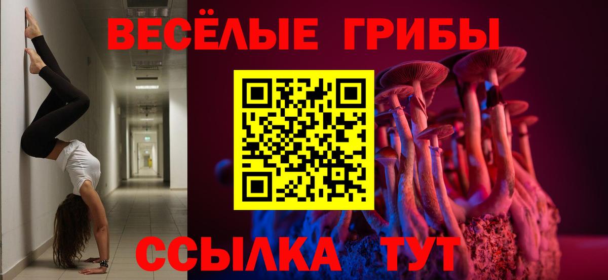 где купить   Вход с VPN  Псилоцибиновые грибы Psilocybine cubensis  Лениногорск  Галлюциногенные грибы Psilocybe 